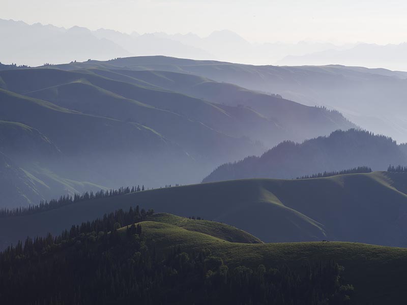 Christophe DEPRIECK