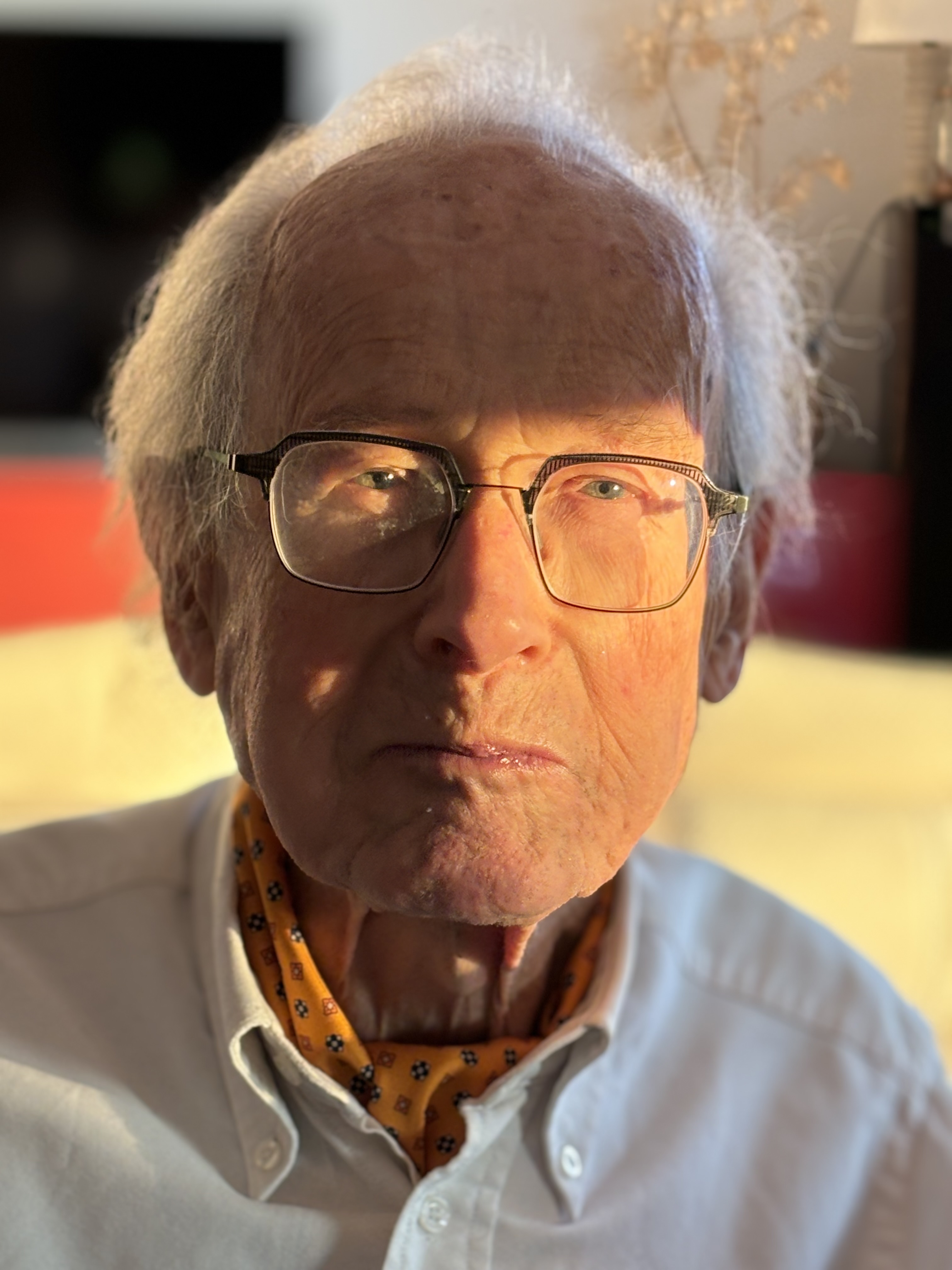 Vincent CALEMARD