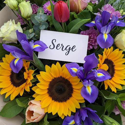 Serge BISE
