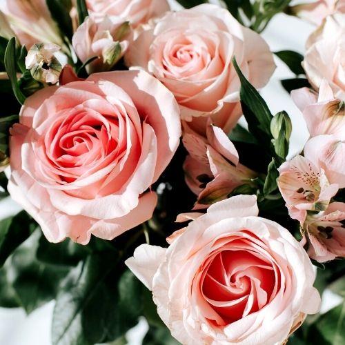 Rose-Marie DEHAINE