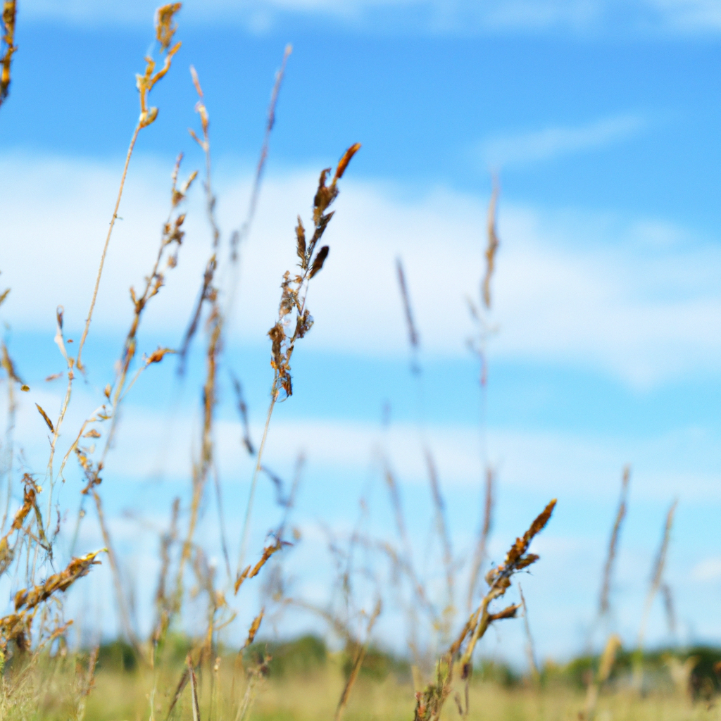 Charles Louis RASSEL