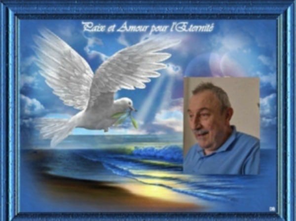 Dominique Marie Charles Jean Camille D'ARTIGUES