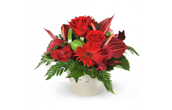 Composition florale rouge Flamboyant