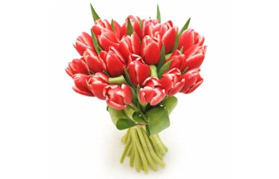 Bouquet de tulipes rouges Perle Douce